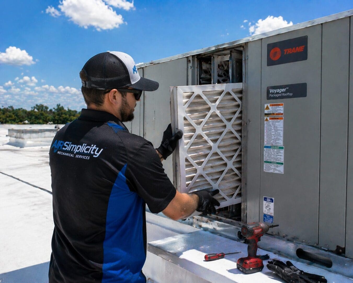 Tech changing filter AI